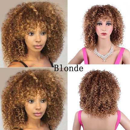 Synthetic Afro Curly Wig African Wigs