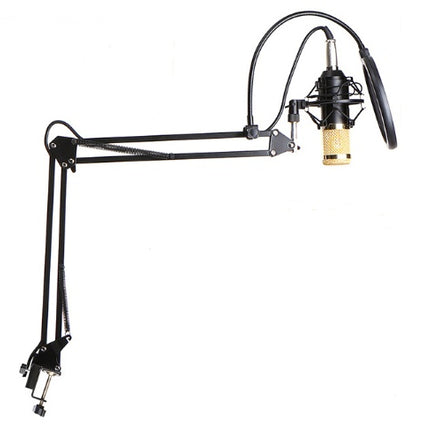 BM800 microphone set