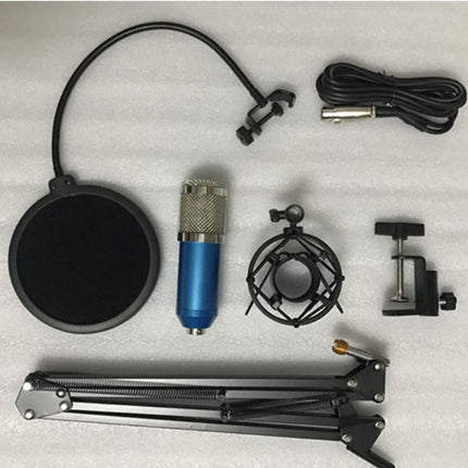 BM800 microphone set