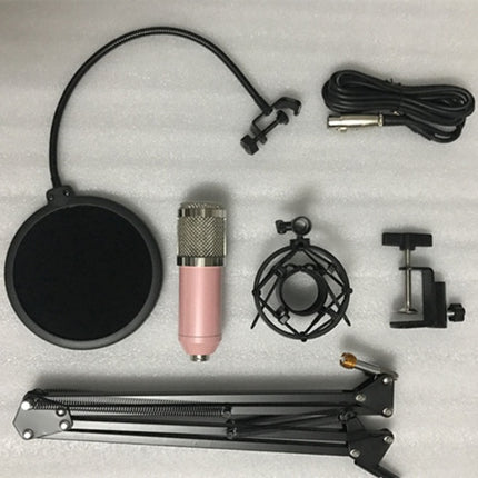 BM800 microphone set