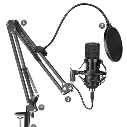 Microphone set