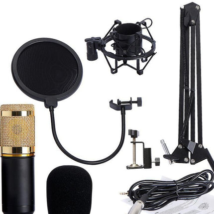 BM800 microphone set