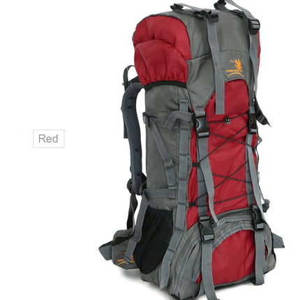 Extra Large Outdoor 60L Travel Backpack