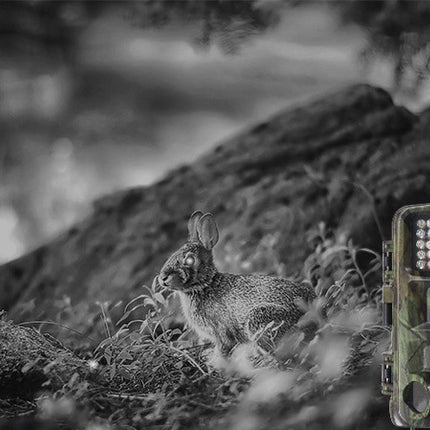 Wild hunting camera