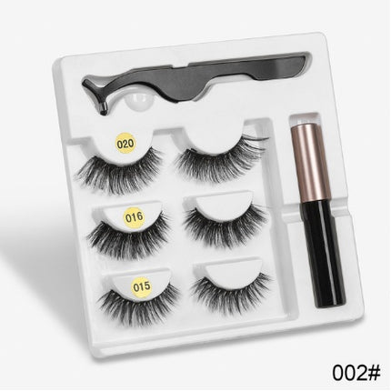 A Pair Of False Eyelashes With Magnets