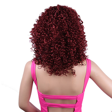 Synthetic Afro Curly Wig African Wigs